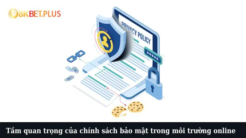 Tầm quan trọng của chính sách bảo mật trong môi trường online