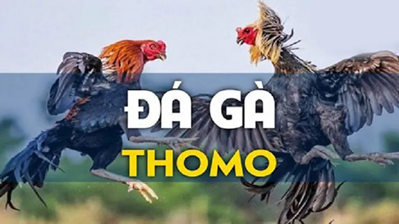 da-ga-tho-mo