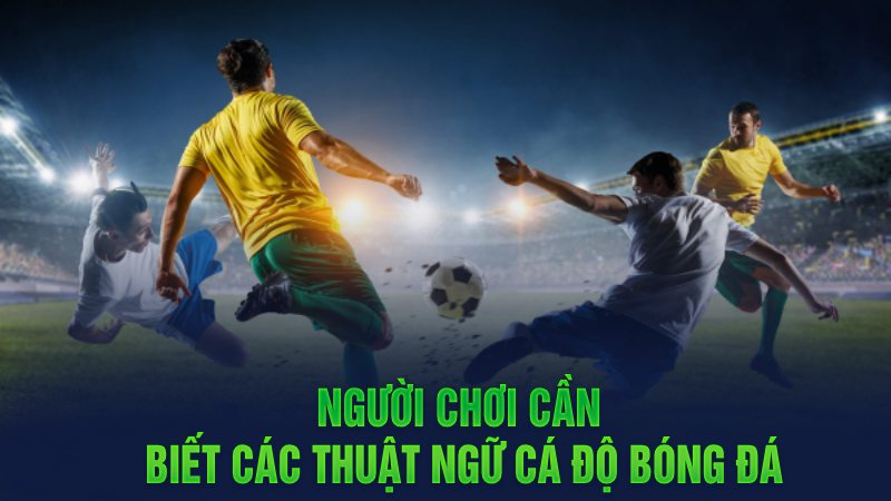 Người chơi cần nắm được các thuật ngữ cá độ bóng đá