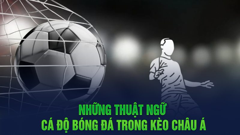 Những thuật ngữ cá độ bóng đá trong kèo châu Á