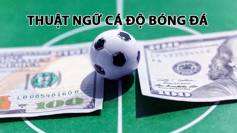 thuật ngữ cá độ bóng đá