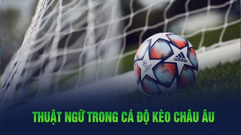 Thuật ngữ trong cá độ kèo châu Âu